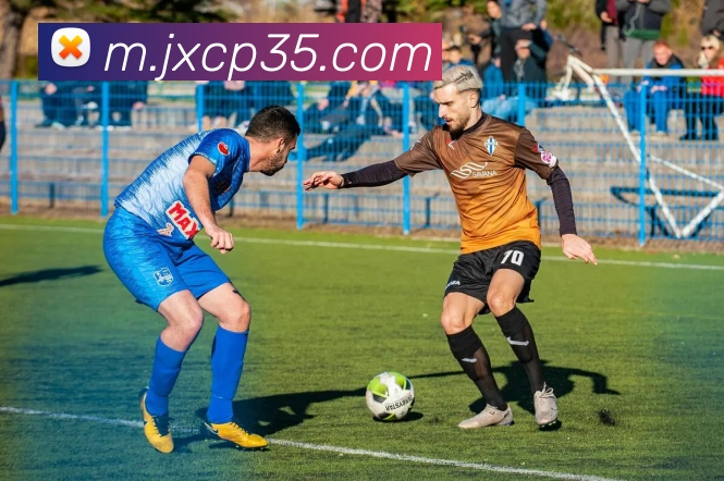 吉祥彩票官网平台服务体系